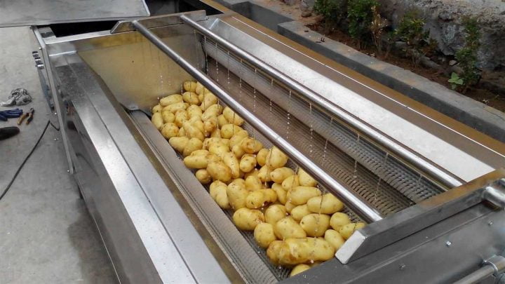 Bulks of potatoes washing with the automatic washer machine