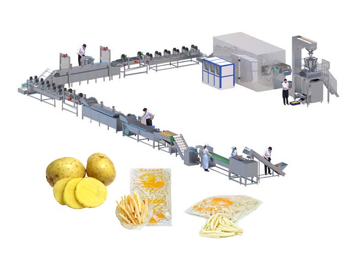 Frozen French Fries VS Fresh Cut French Fries  Potato Processing Machine  Manufacturer and Supplier