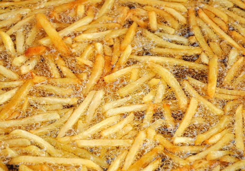 frozen fries deep fryer