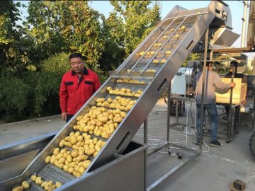 Planta industrial de processamento de batatas fritas