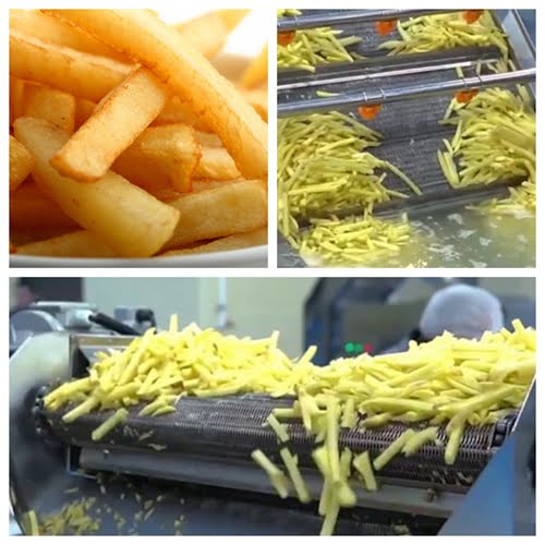 frozen french fries processing plant for Sri Lanka
