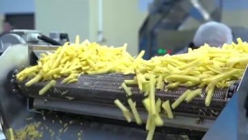 profitable french fries making business