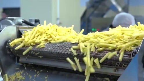 Negocio rentable de fabricación de patatas fritas.