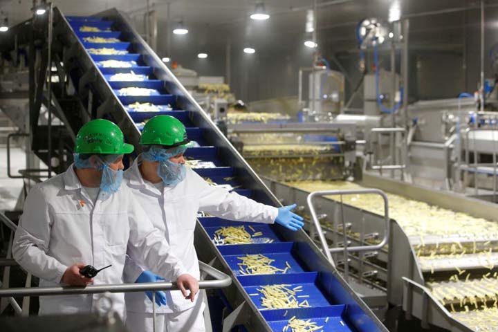 grande fábrica de processamento de batatas fritas na Rússia