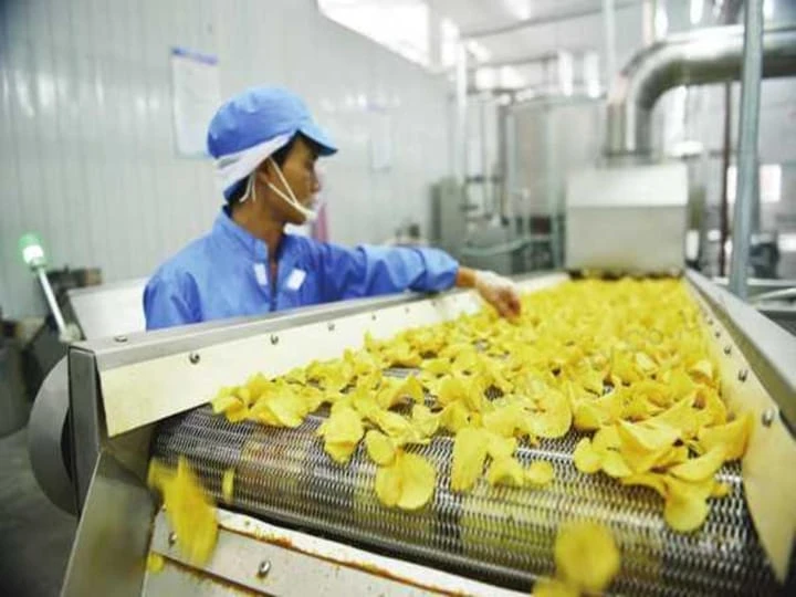 El trabajador está comprobando la calidad de las patatas fritas.