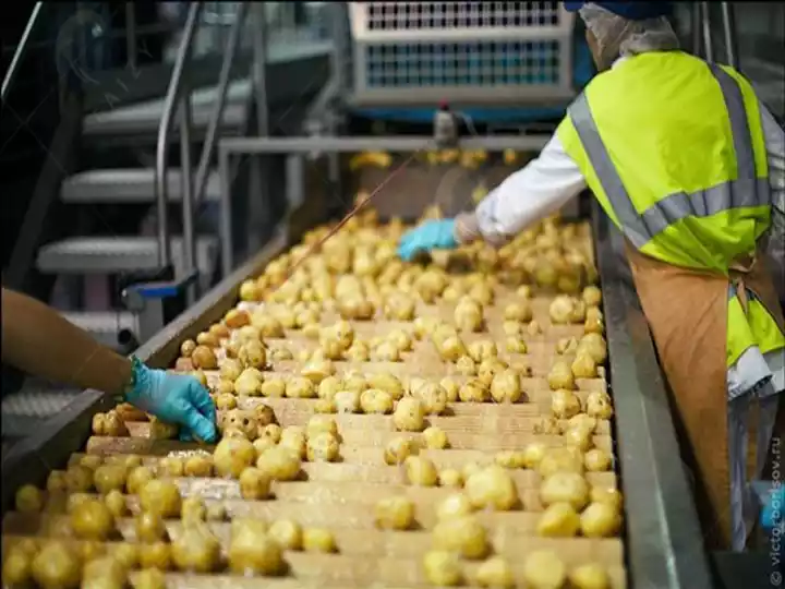 Linha de processamento de batatas fritas nos Camarões