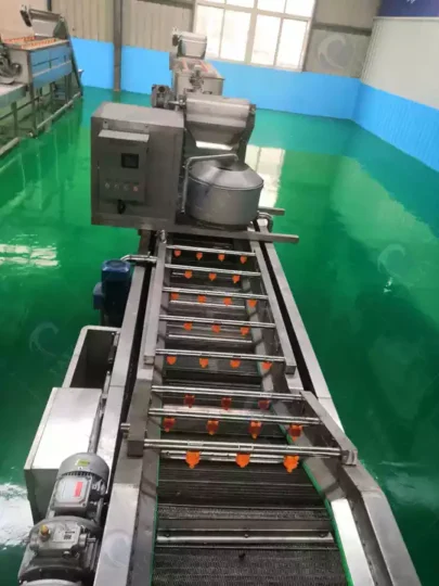 Potato washing and peeling machine