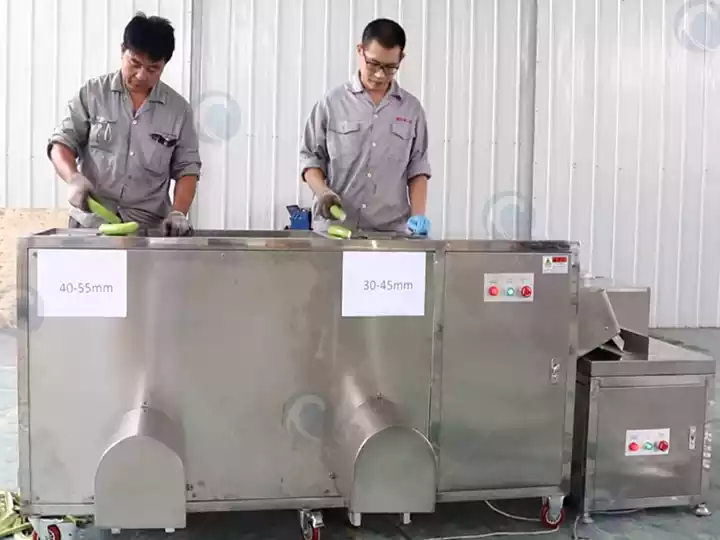 green banana peeling machine