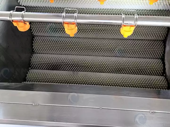multi-brush cleaning system