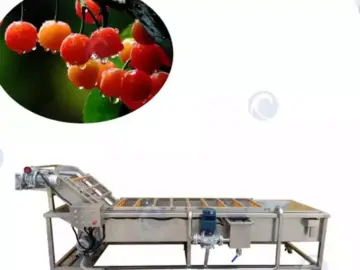 آلة غسيل المعالجة الغذائية