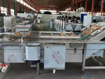 fruit and vegetable bubble washing machine