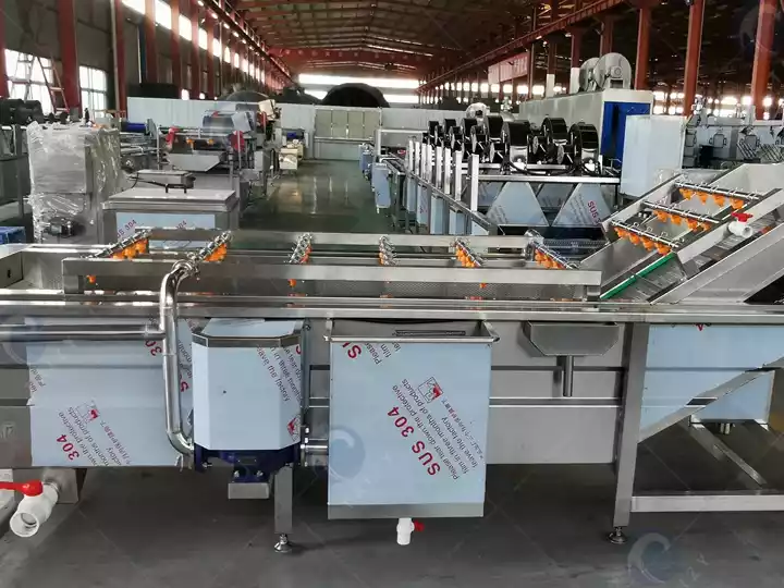 fruit and vegetable bubble washing machine