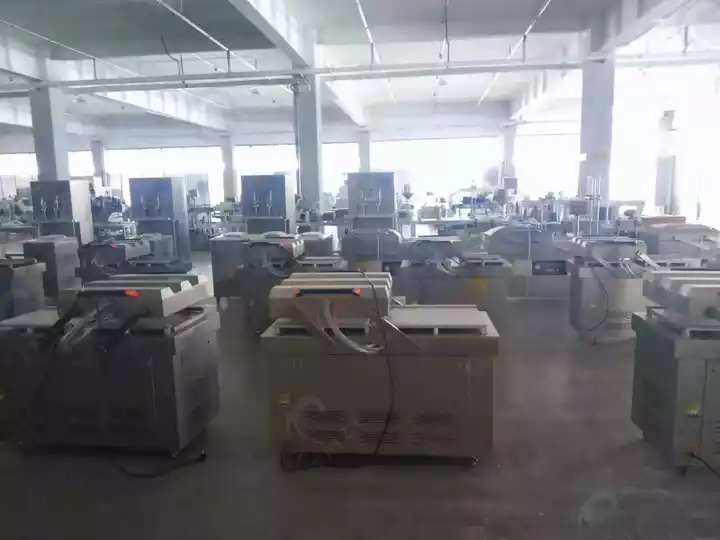 vacuum packing machine for frozen fries