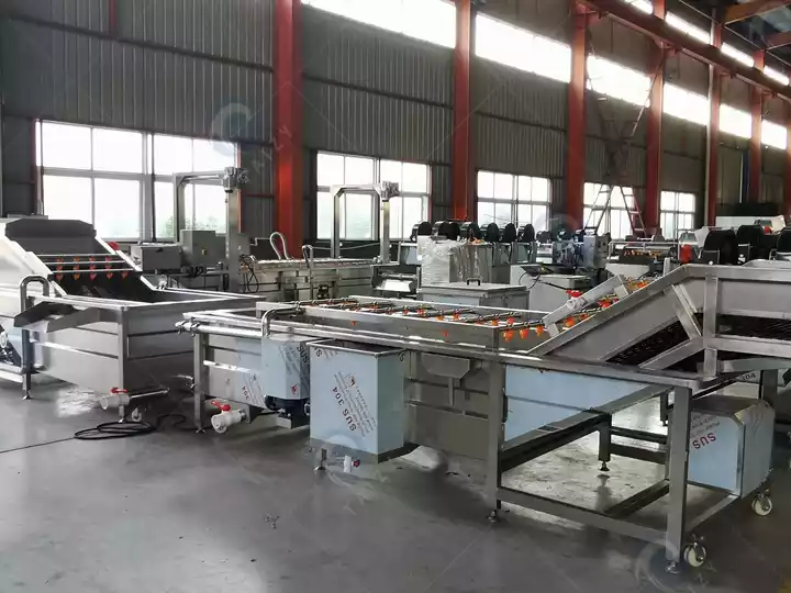 vegetable fruit bubble washer