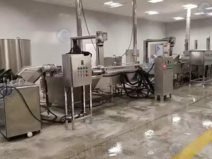 banana chips making line cost