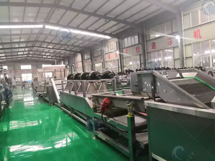 potato chip production line factory