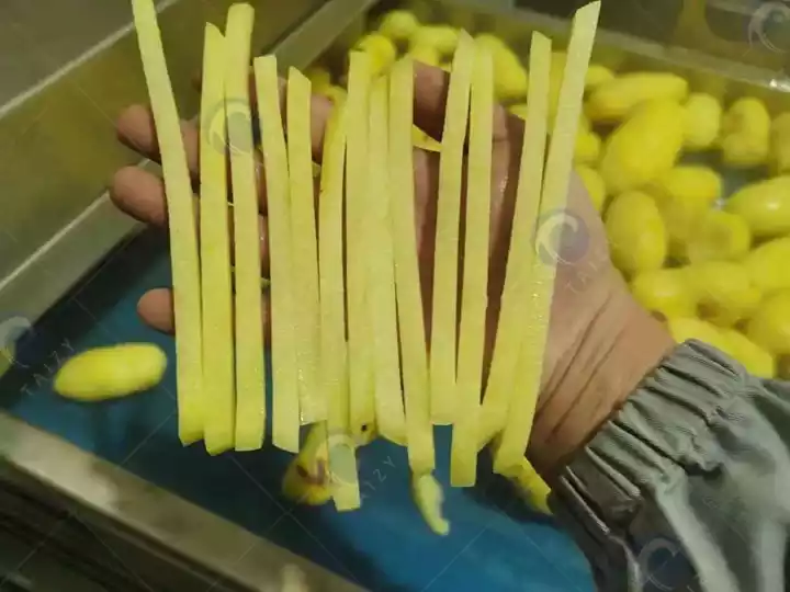 potato strips production