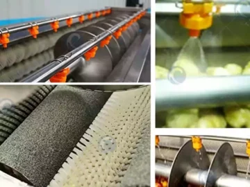 vegetable brush roller washing peeling machine
