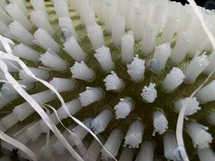 vegetable washer brush roller detail