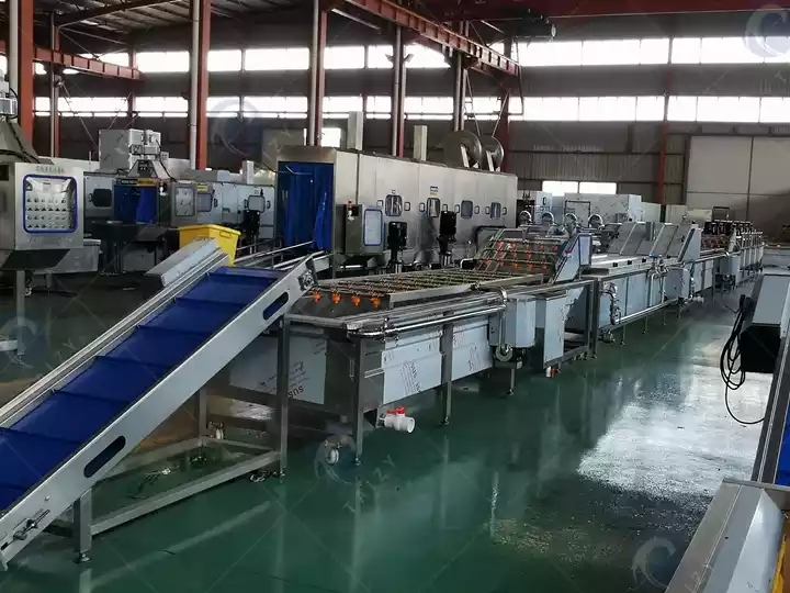 french fries processing line